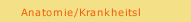 Anatomie/Krankheitsl